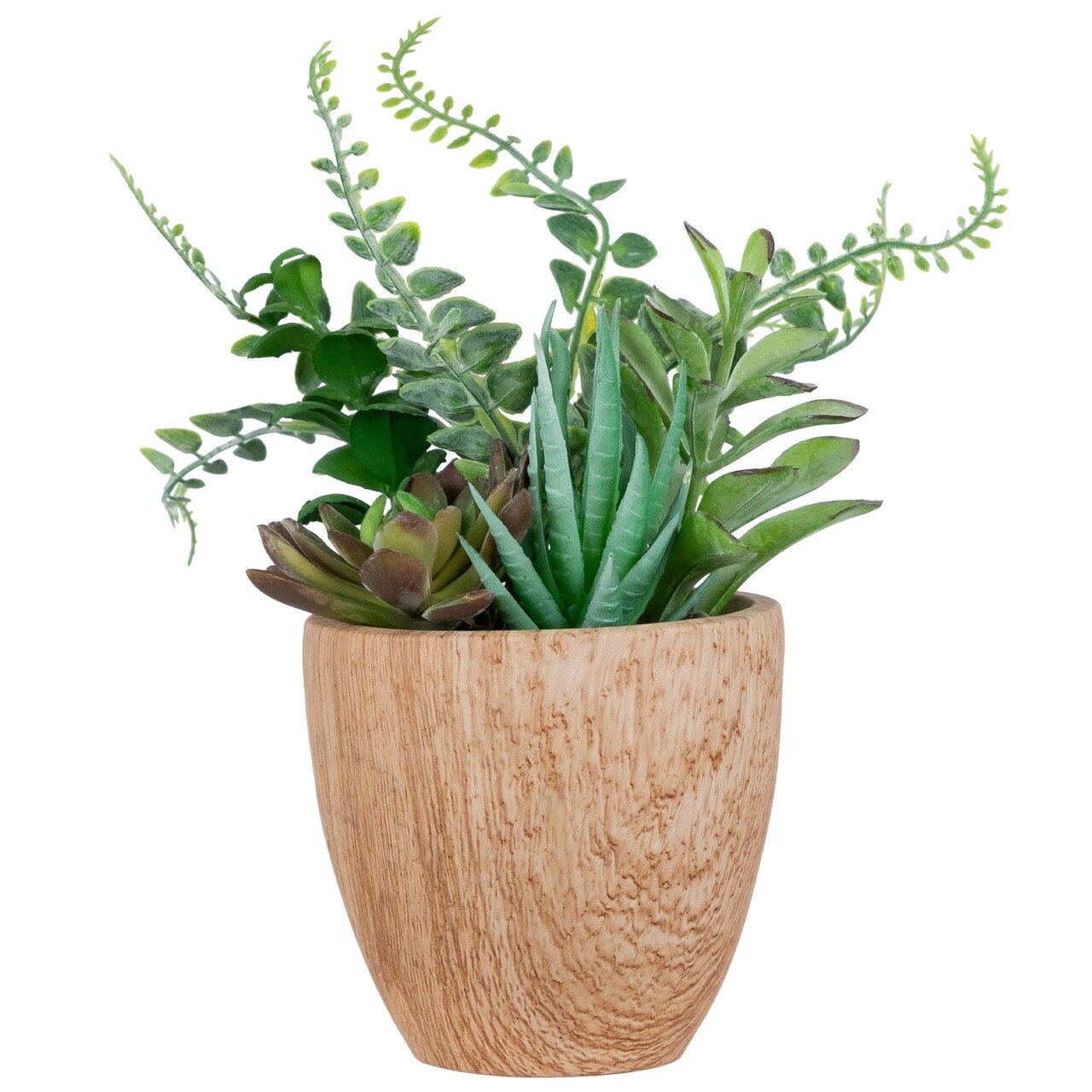 Northlight Potted Artificial Mixed Succulents and Fern Arrangement - 12"